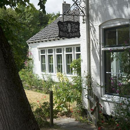 In De Witte Handt Midsland Eksteriør billede